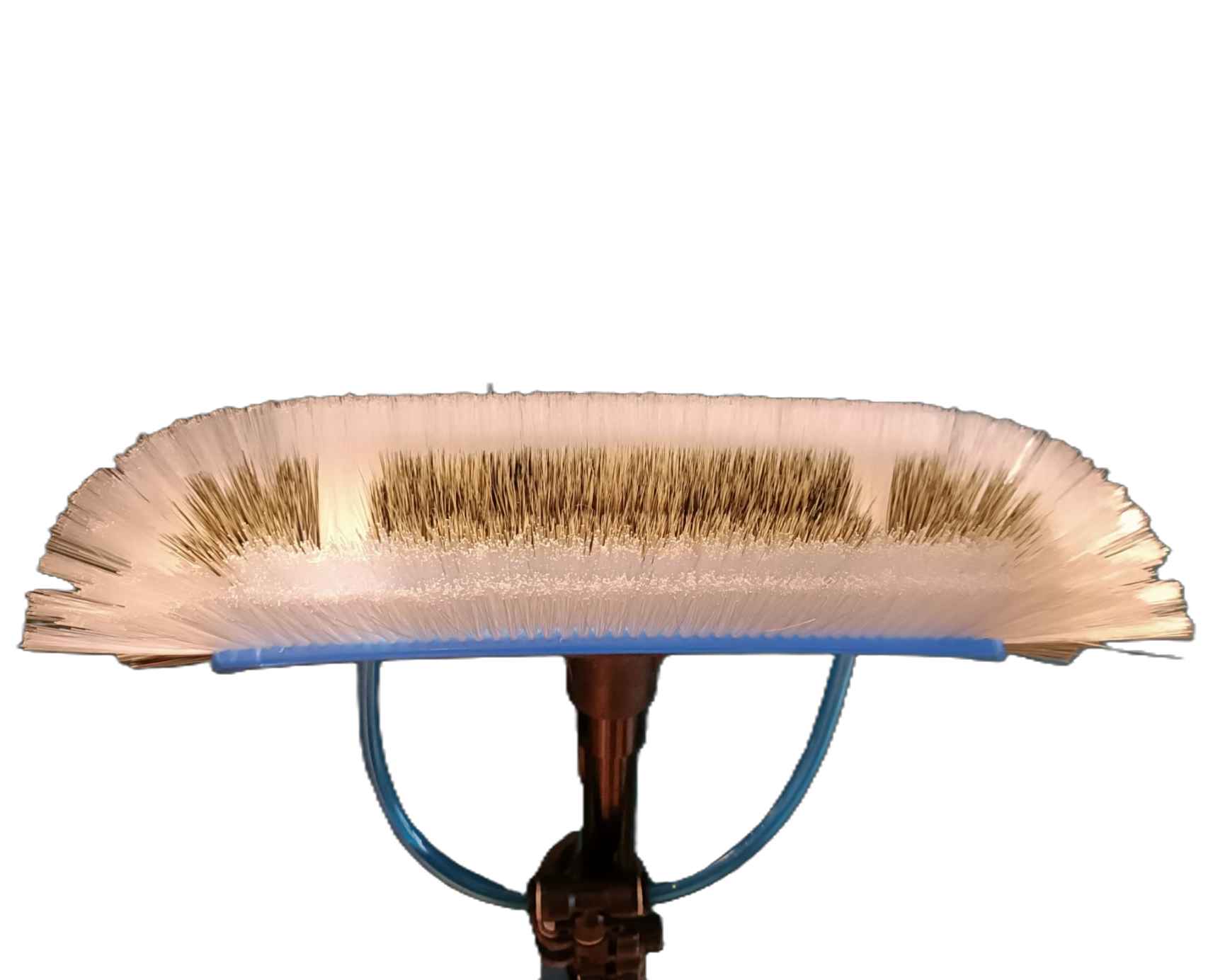 10" BoarHair SLIM Brush x1 by Brushman-wfp RETAIL