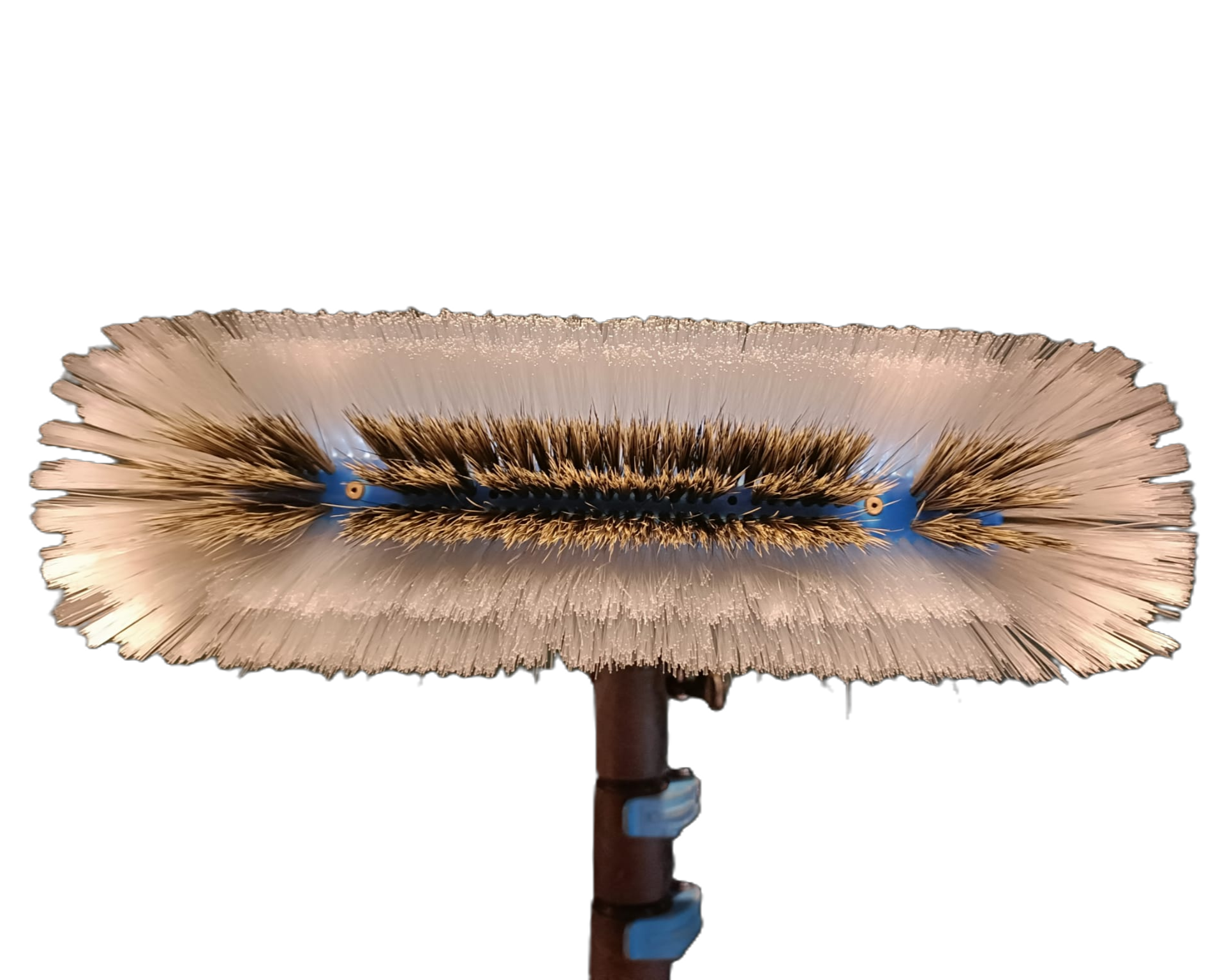 10" BoarHair SLIM Brush  x1  by Brushman-wfp RETAIL